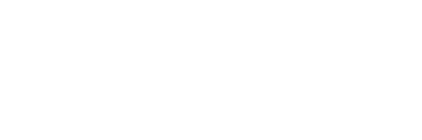 Triface International - Visual Solution