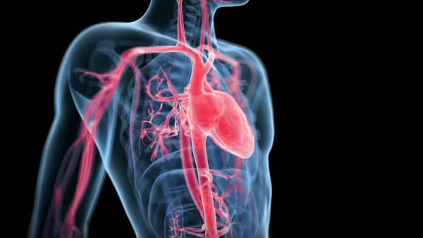 the benefits of 3D medical animation the benefits of 3D medical animation